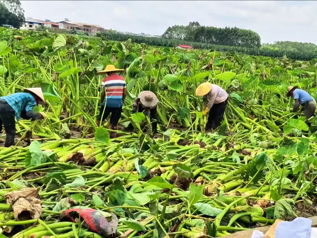 中国·9091美高梅(股份)有限公司-官方网站
