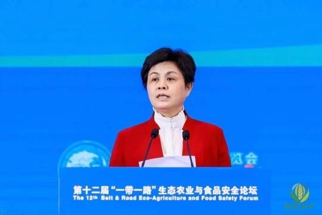 中国·9091美高梅(股份)有限公司-官方网站