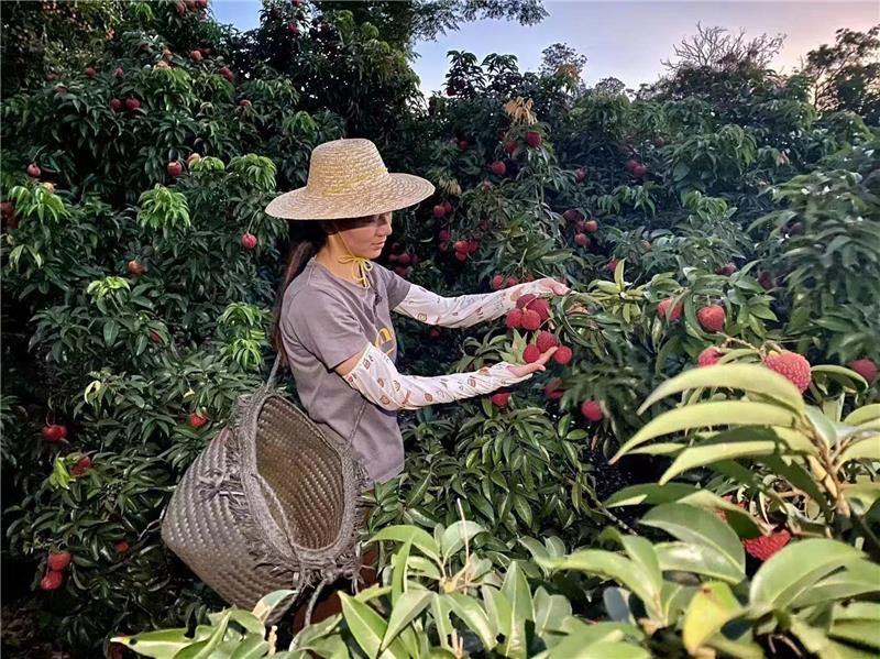 中国·9091美高梅(股份)有限公司-官方网站